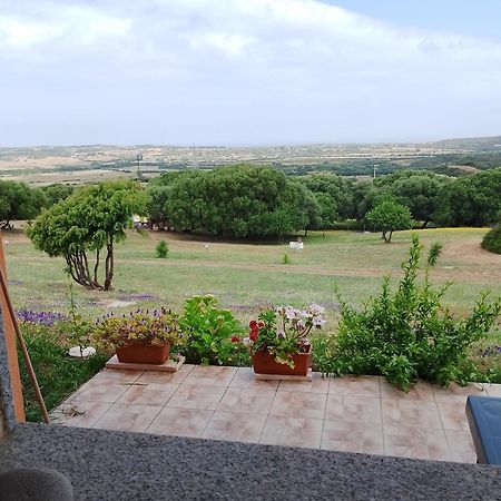 Gli Olivastri Con Piscina,Solarium, Vista Mare ,Sole -Mare E Tanta Natura ,Climatizzatore,Wifi 아글리엔투 외부 사진