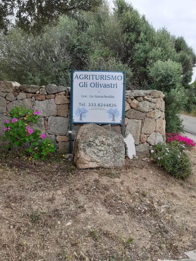 Gli Olivastri Con Piscina,Solarium, Vista Mare ,Sole -Mare E Tanta Natura ,Climatizzatore,Wifi 아글리엔투 외부 사진