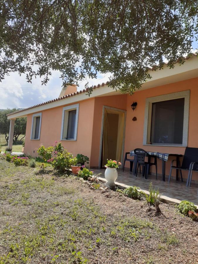 Gli Olivastri Con Piscina,Solarium, Vista Mare ,Sole -Mare E Tanta Natura ,Climatizzatore,Wifi 아글리엔투 외부 사진