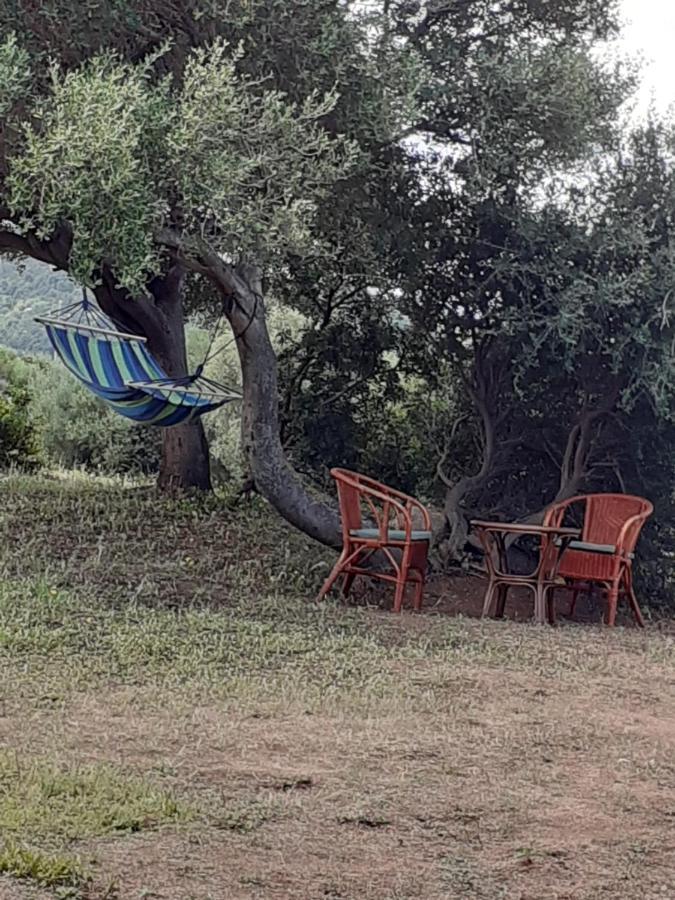 Gli Olivastri Con Piscina,Solarium, Vista Mare ,Sole -Mare E Tanta Natura ,Climatizzatore,Wifi 아글리엔투 외부 사진