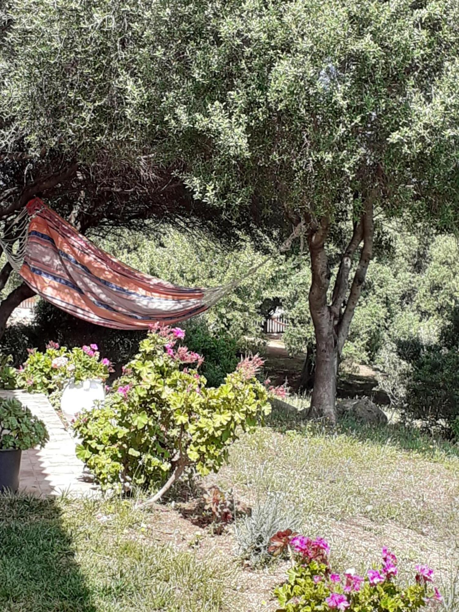 Gli Olivastri Con Piscina,Solarium, Vista Mare ,Sole -Mare E Tanta Natura ,Climatizzatore,Wifi 아글리엔투 외부 사진