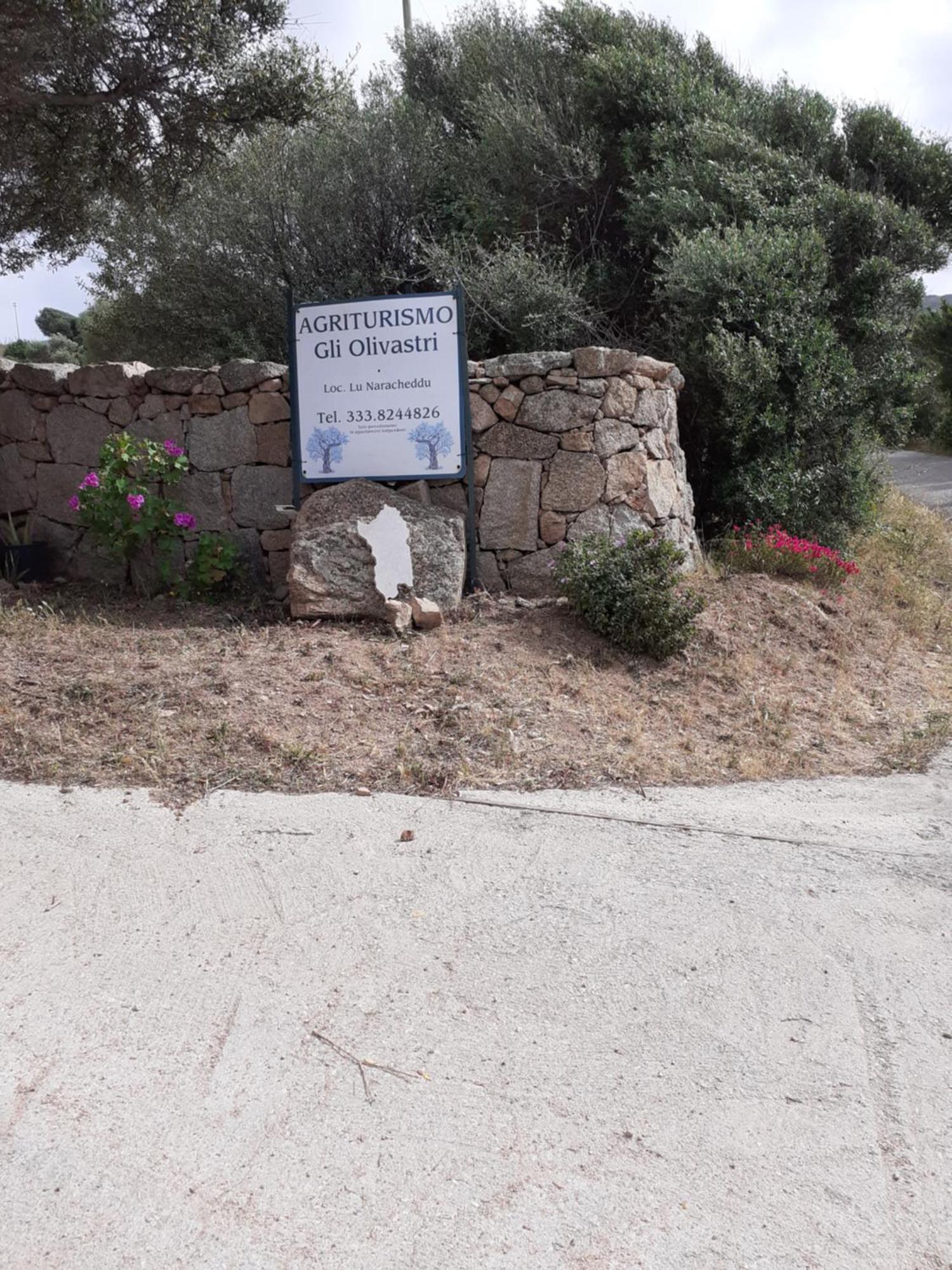 Gli Olivastri Con Piscina,Solarium, Vista Mare ,Sole -Mare E Tanta Natura ,Climatizzatore,Wifi 아글리엔투 외부 사진