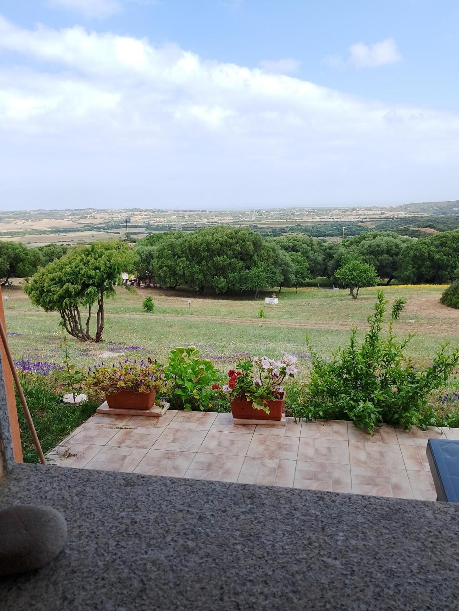 Gli Olivastri Con Piscina,Solarium, Vista Mare ,Sole -Mare E Tanta Natura ,Climatizzatore,Wifi 아글리엔투 외부 사진