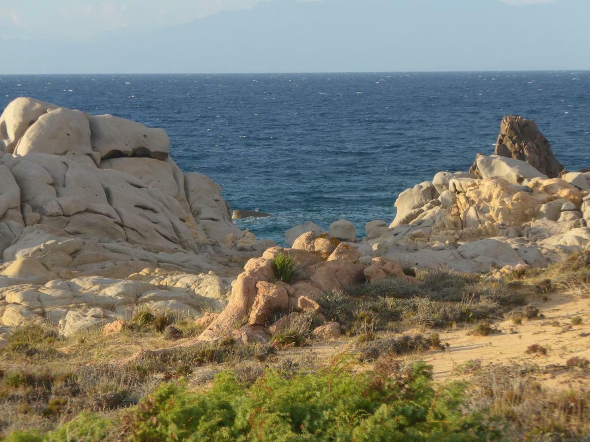 Gli Olivastri Con Piscina,Solarium, Vista Mare ,Sole -Mare E Tanta Natura ,Climatizzatore,Wifi 아글리엔투 외부 사진