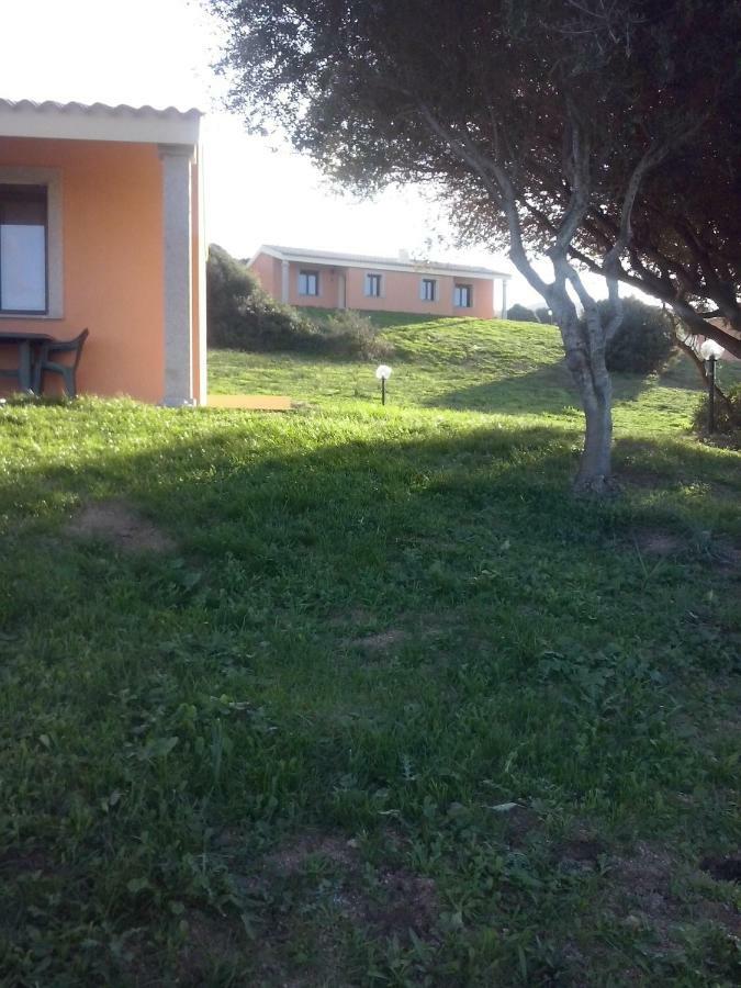 Gli Olivastri Con Piscina,Solarium, Vista Mare ,Sole -Mare E Tanta Natura ,Climatizzatore,Wifi 아글리엔투 외부 사진